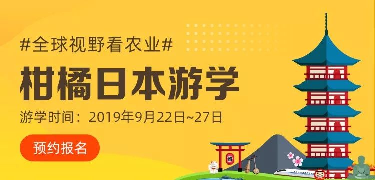 重磅！为你揭开这个150亩柑橘园年产值1.6亿的秘密！